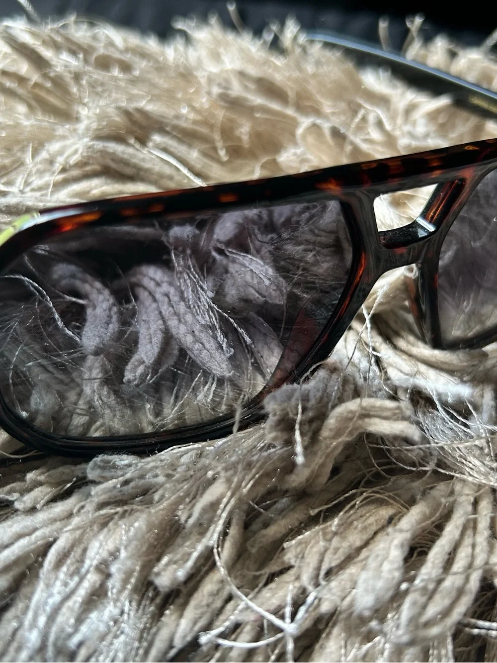 Carrera Men's Tortoiseshell Frame Sunglasses with Smoke Lenses